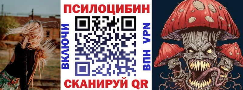 купить   Вичуга  Псилоцибиновые грибы прущие грибы 